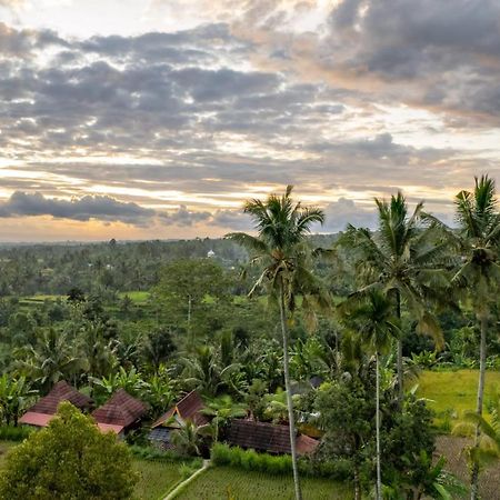 Wina Wani Bungalows Tetebatu Eksteriør bilde