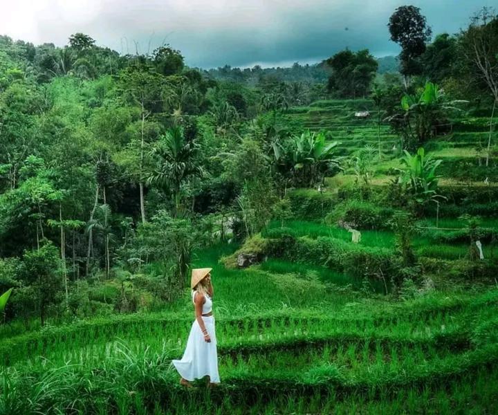 Wina Wani Bungalows Tetebatu Eksteriør bilde