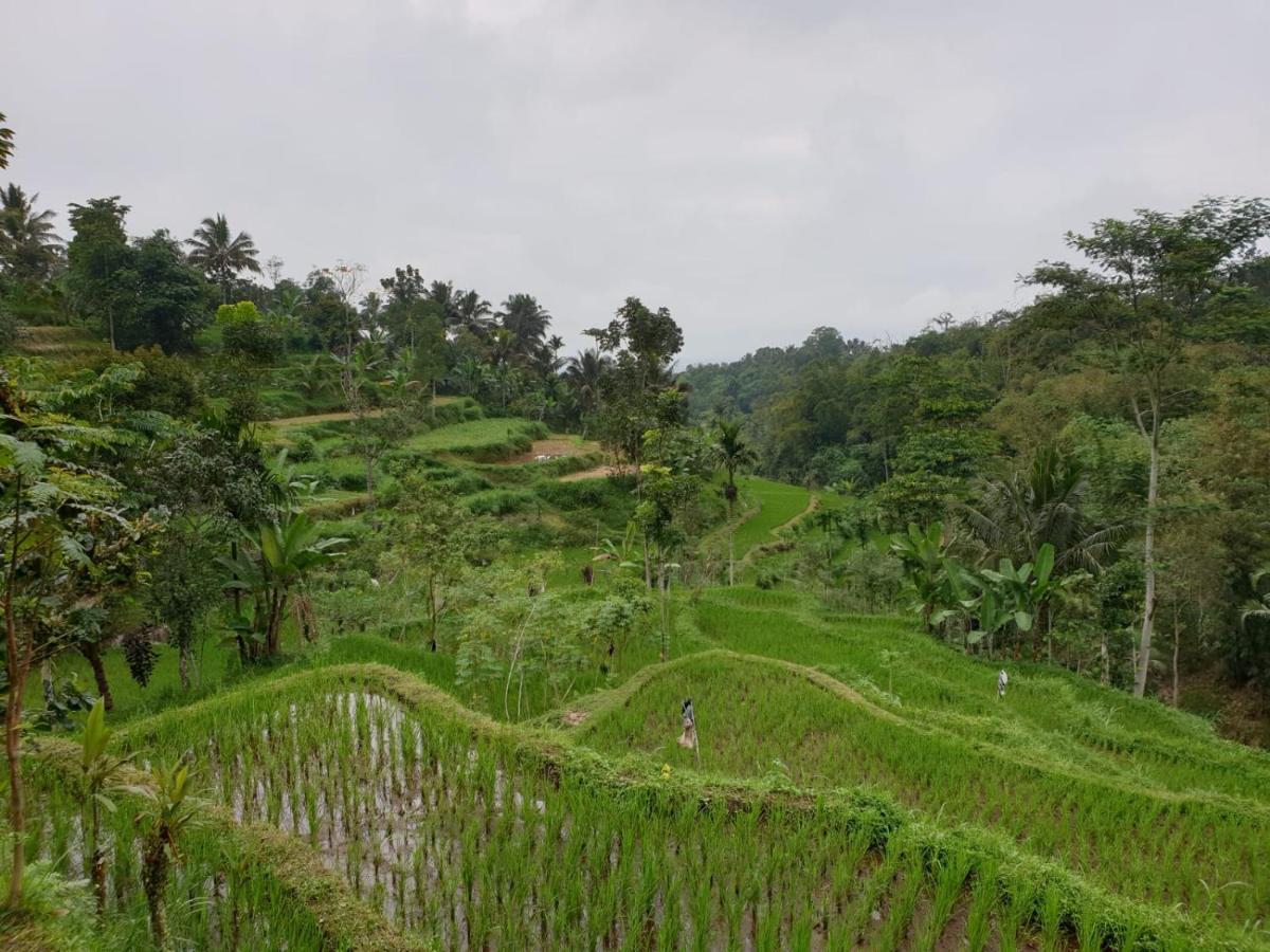 Wina Wani Bungalows Tetebatu Eksteriør bilde